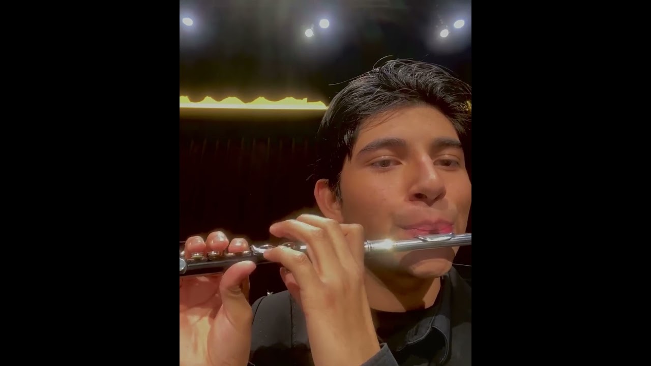 POV: Piccolo “Critical Mass” by Todd Stalter -I apologize for being out of tune