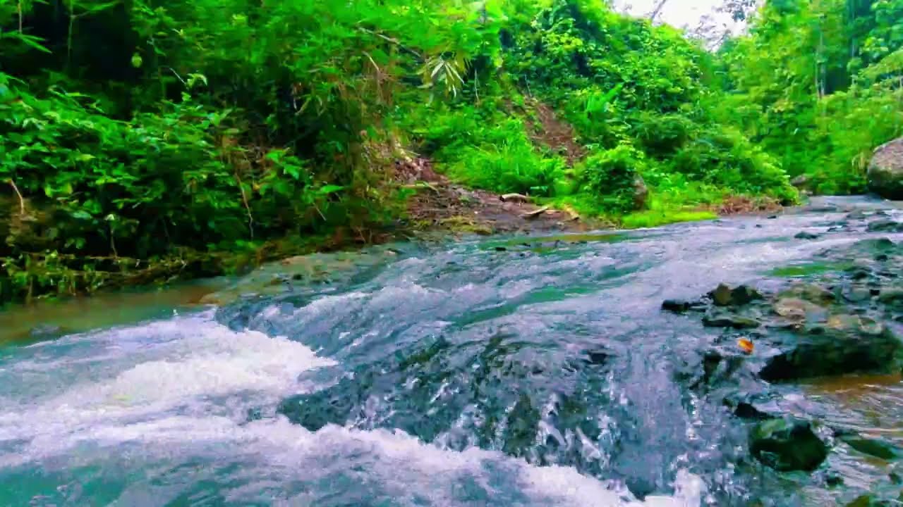 Calming Water Sounds for Sleep, River Sounds for Relaxation, Water Sounds for Stress Relief
