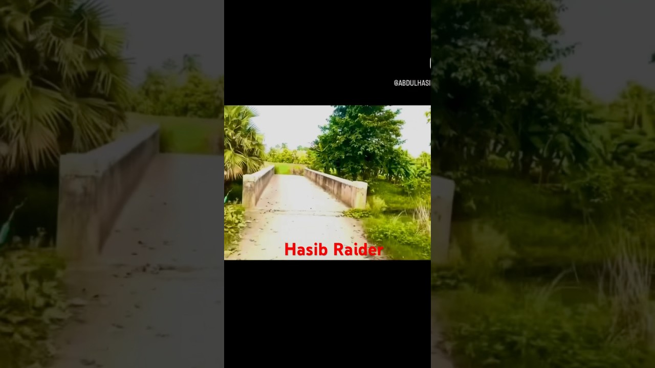 Hasib Raider 