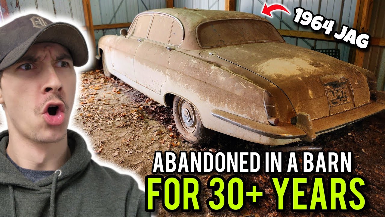 Я нашел классический Jaguar, брошенный в сарае более 30 лет назад, и подробно его осмотрел.
