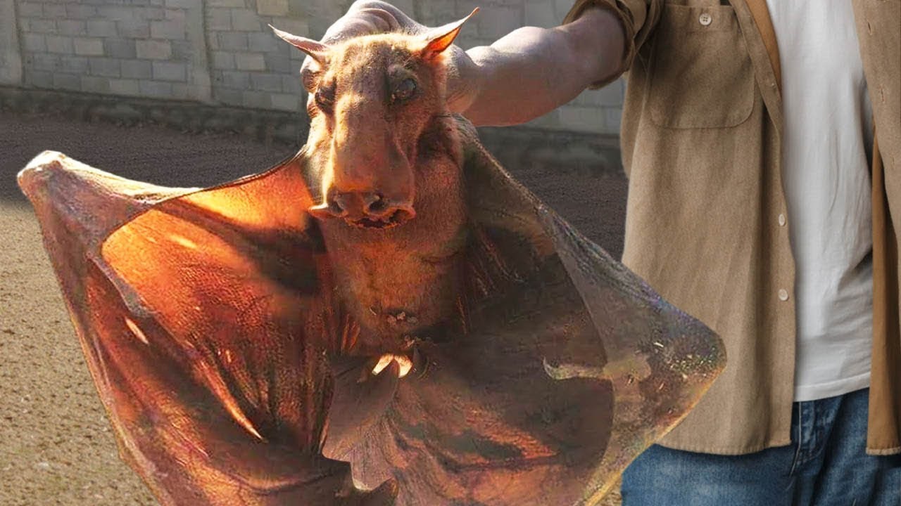 Strange New Species Scientists Recently Discovered