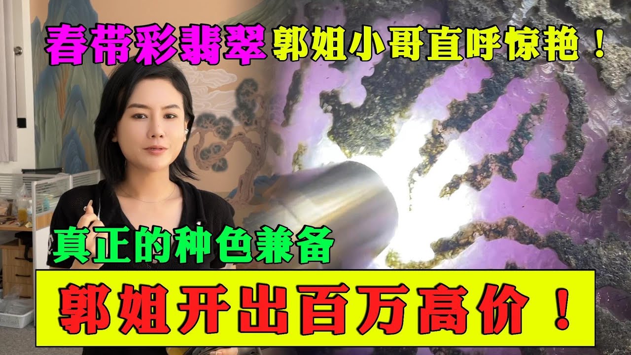 春帶彩翡翠郭姐小哥直呼驚艷！真正的種色兼備，郭姐開出百萬高價！ #翡翠 #郭姐翡翠 #翡翠原石 #缅甸翡翠