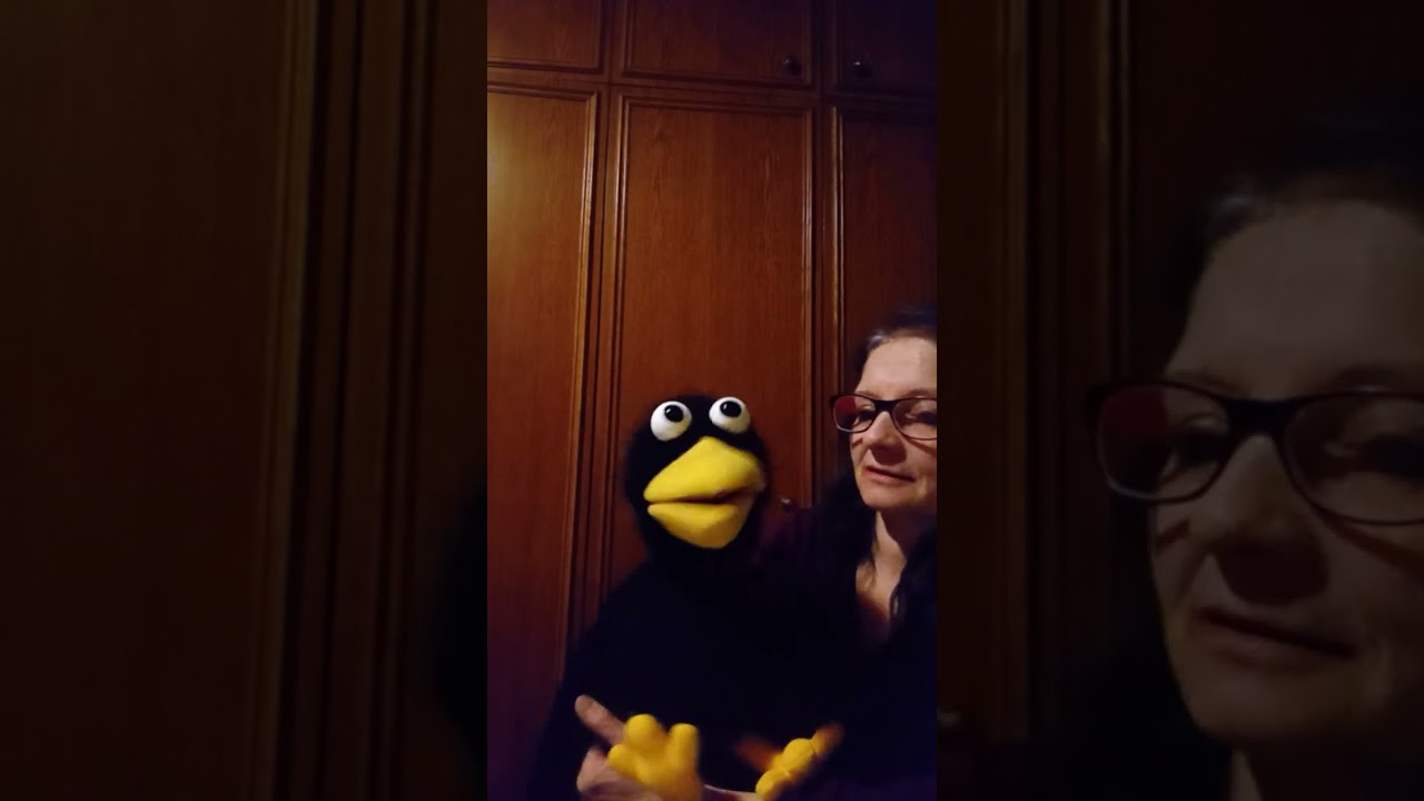 DIe Rabengeschichte! 