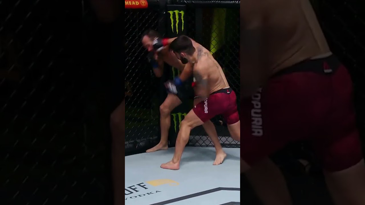 #mma #ufc #knockout #illiatopuria