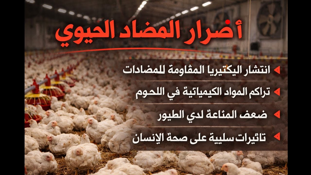 المضادات الحيويه احذر من استخدامها