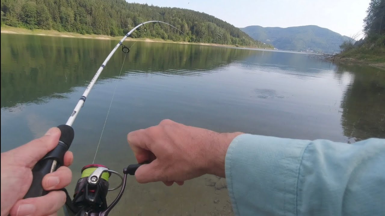 Spinning la stiuca pe Lacul Bicaz, în august 2023 [Pike Spinning at Bicaz Lake]