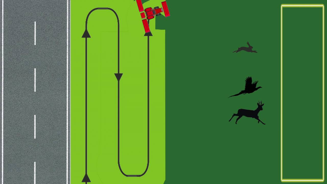 Tierschutz-Tipps für die Grasernte