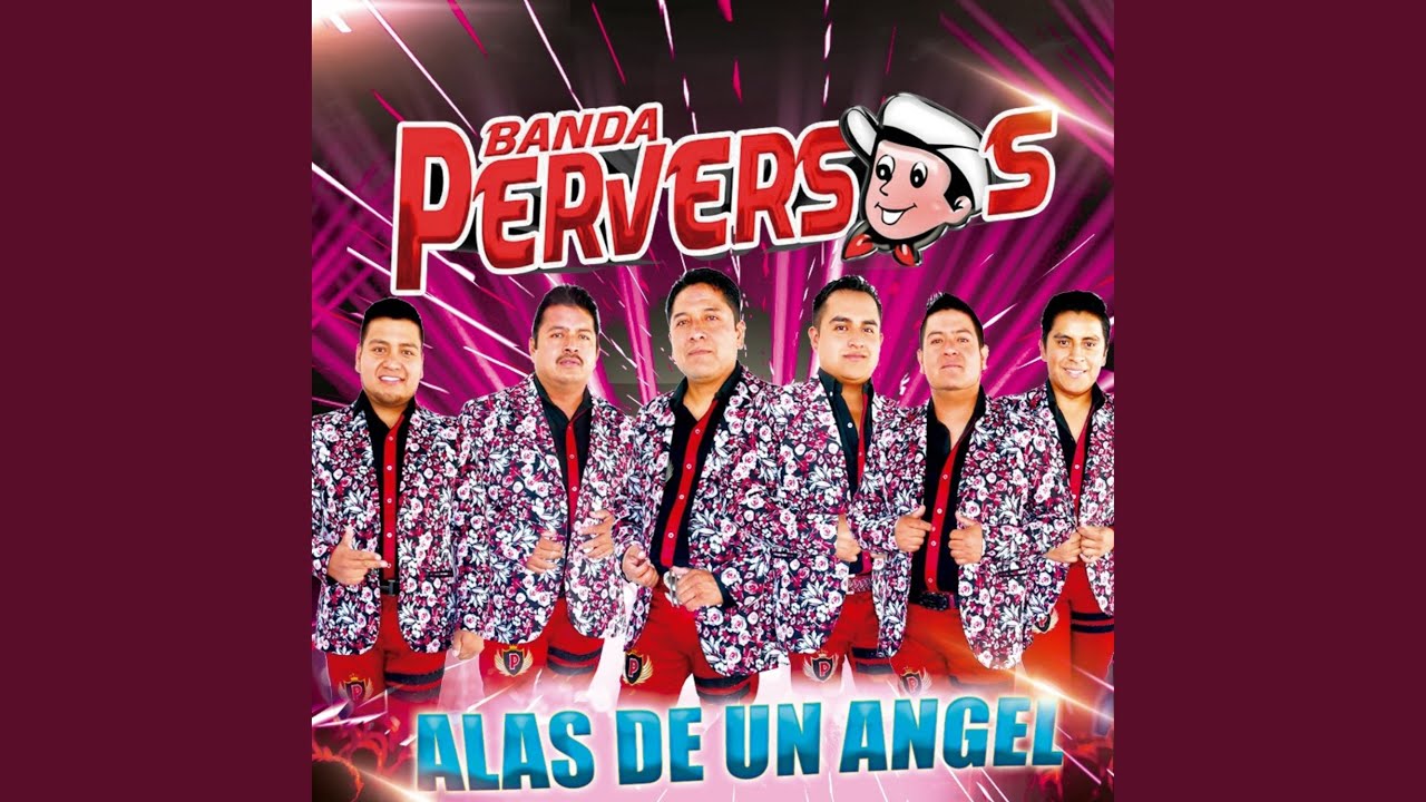 Alas de un &aacute;ngel