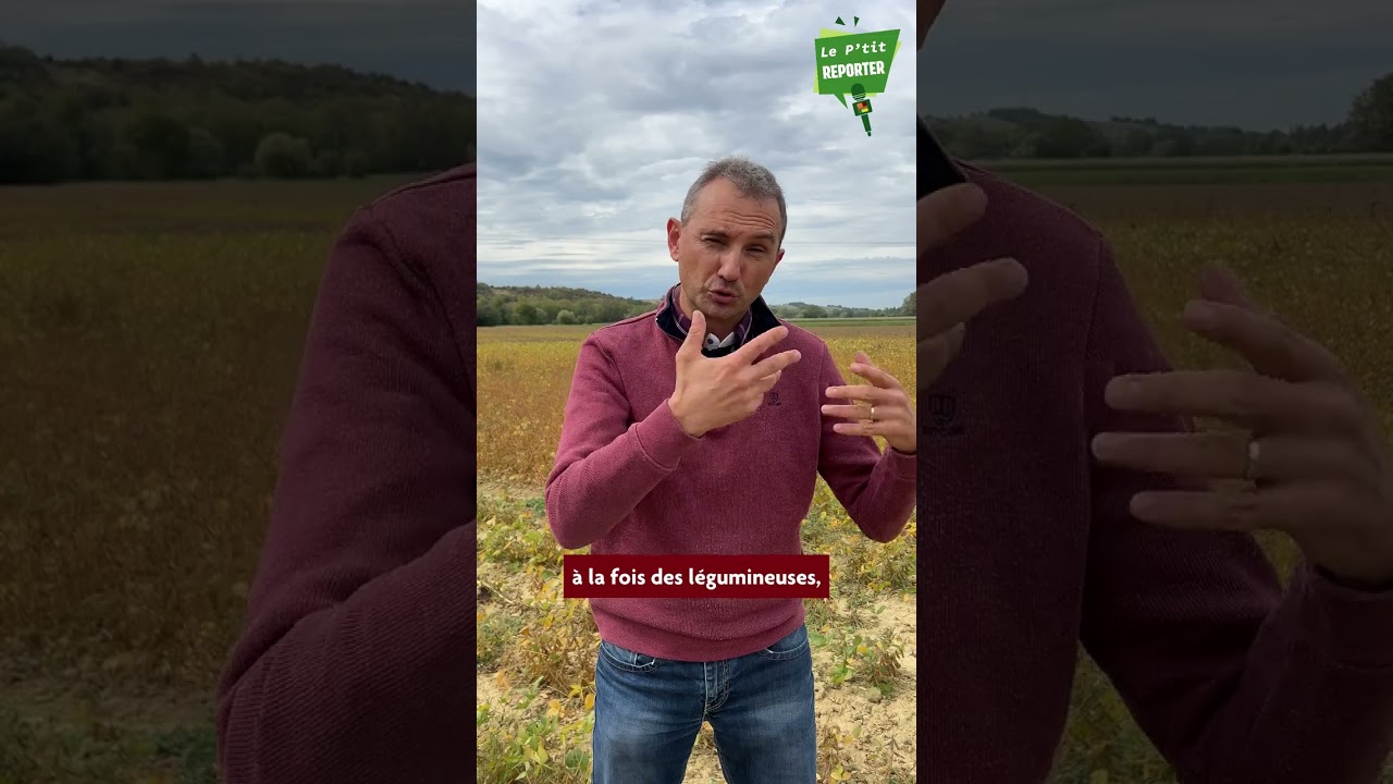 Le P’tit Reporter vous emmène à la découverte de FILEG Occitanie