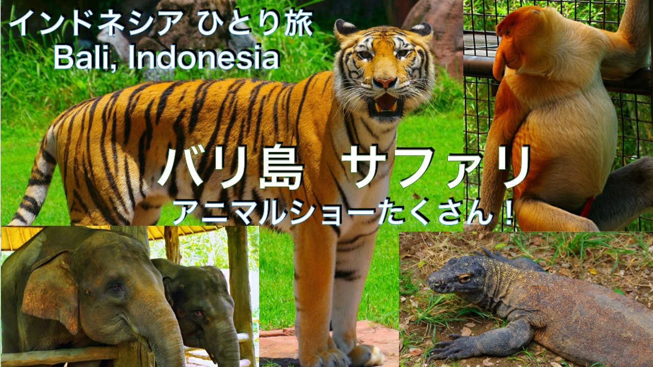【インドネシア バリ島 ウブド // バリ・サファリ＆マリンパーク】サファリバスで動物探検＆アニマルショー　海外旅行　ひとり旅　東南アジア　Ubud, Bali, Indonesia Travel