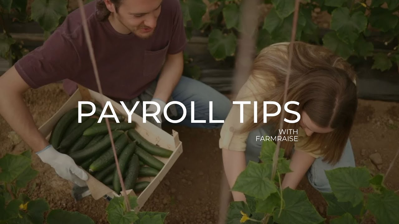 Farm & Ranch Payroll Tips