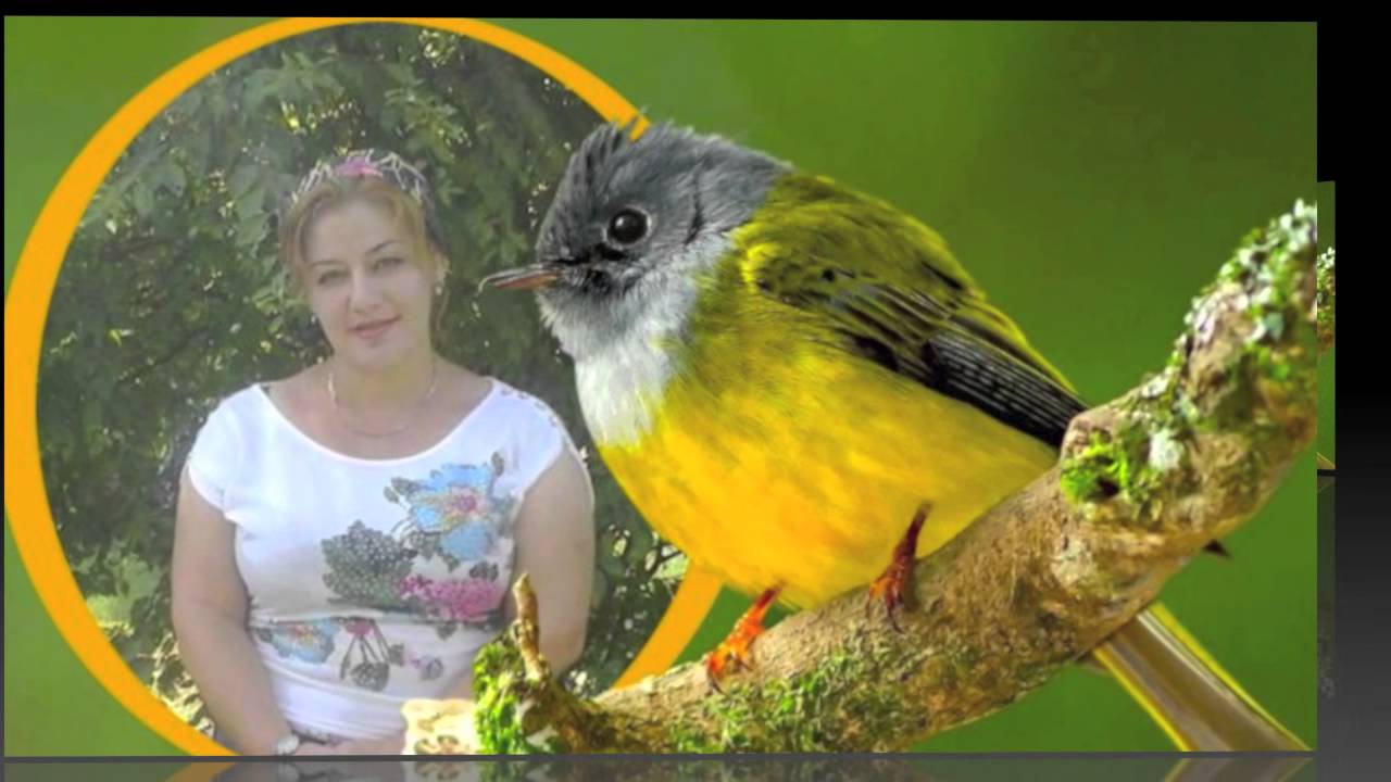 ✯✰✯ Роза Вахабова Гуьйре ✯✰✯