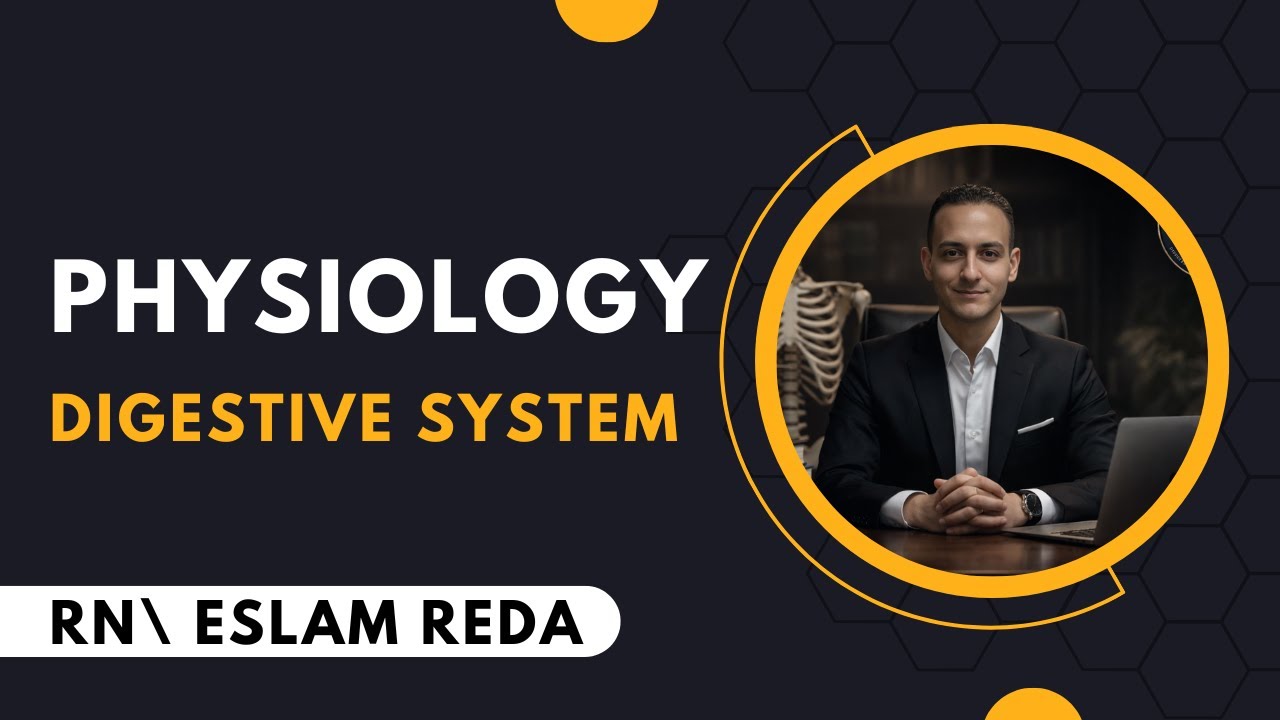 شرح محاضره الجهاز الهضمي فسيولوجي