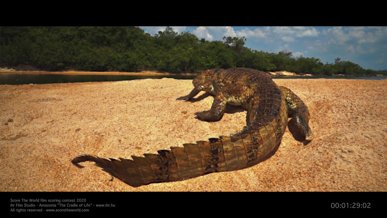 Score The World contest - Peter Creasey - Submission