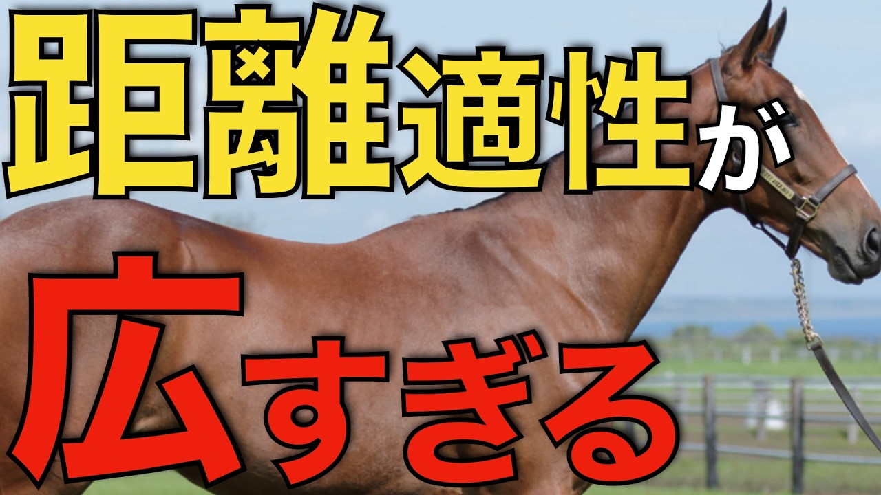 【意外にも】あの種牡馬、ダート全距離で上位独占！距離適性が広すぎる理由とは？