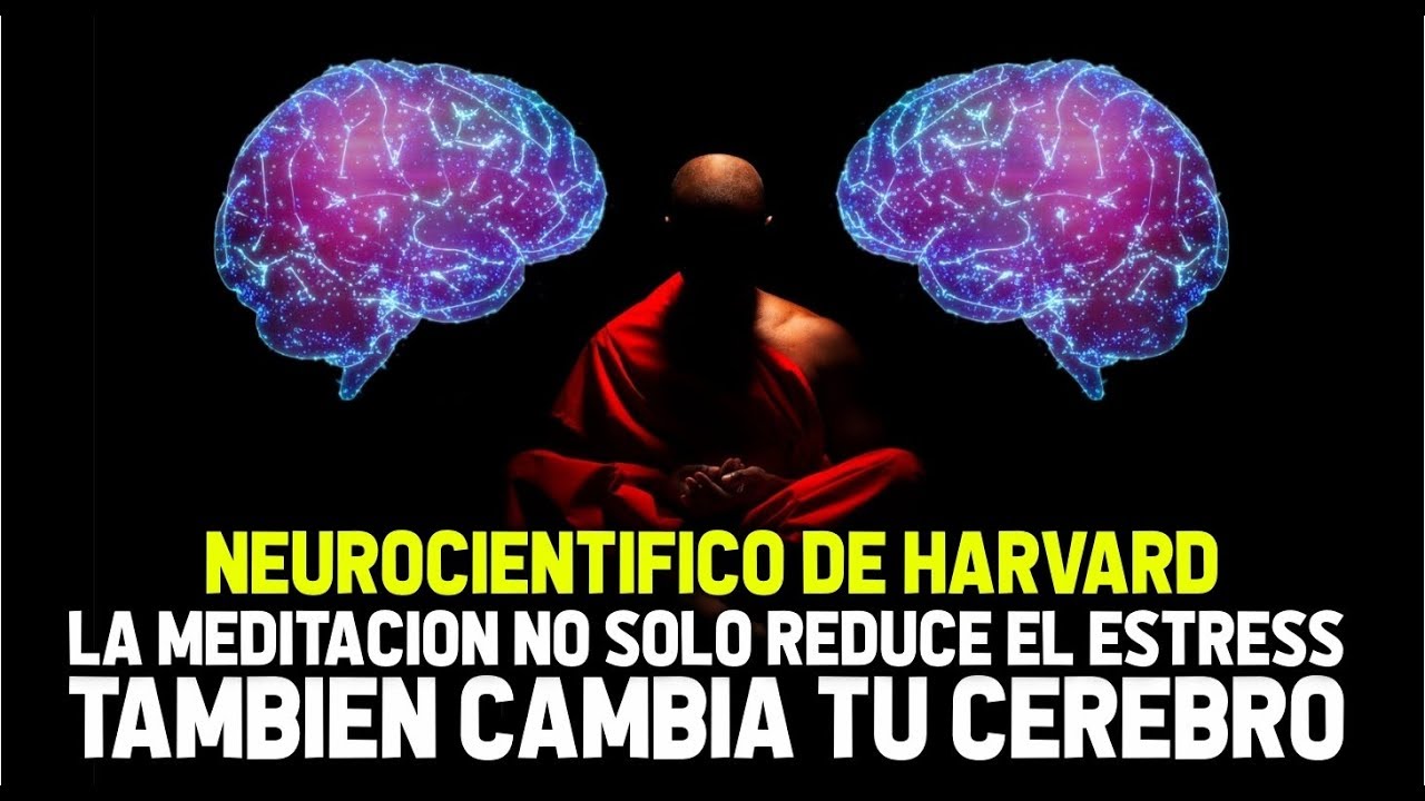 Increíble Estudios Científicos Harvard Meditación y Yoga