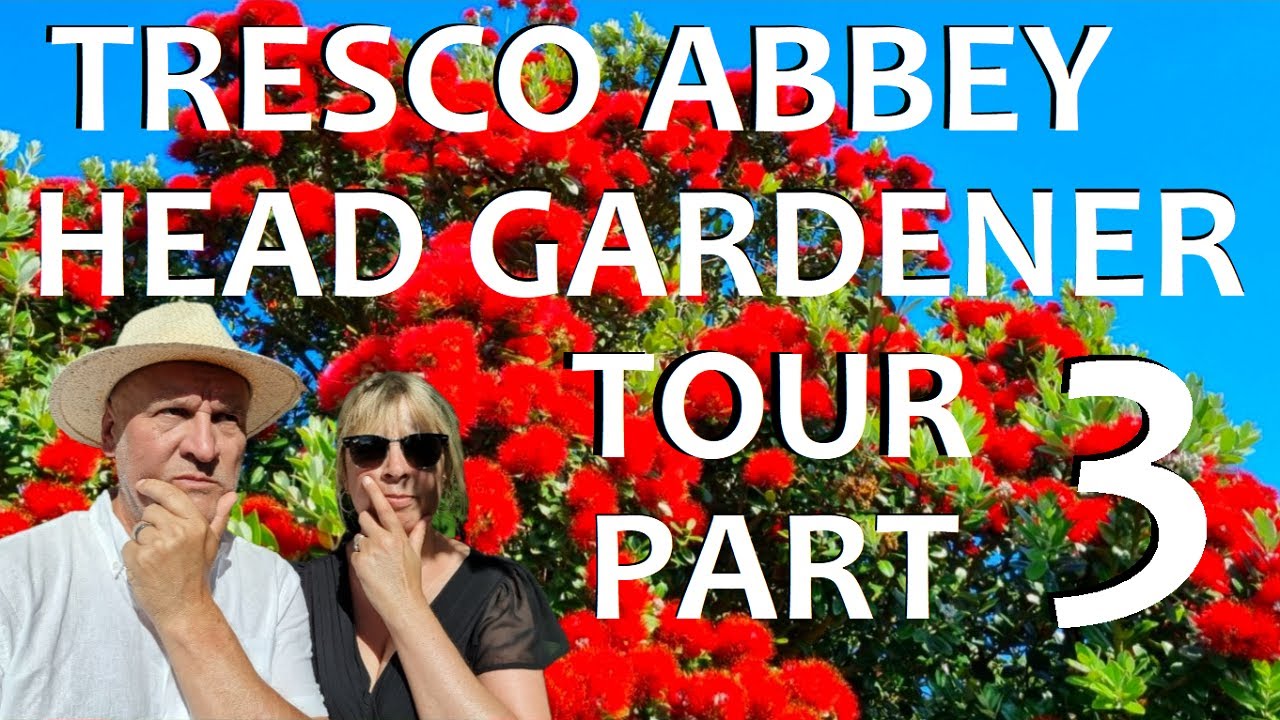 Tropical Gardens UK:  Tresco Abbey - Head Gardener Tour  PART 3