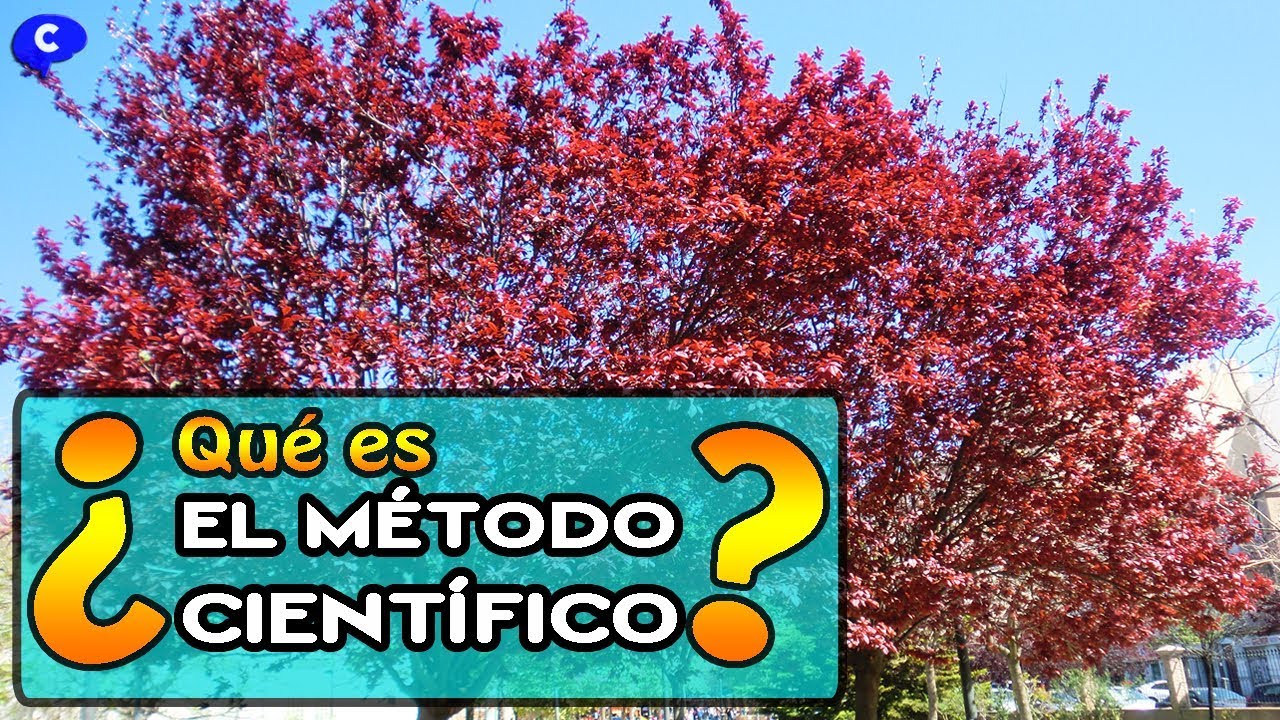QUÉ ES 𝐄𝐋 𝐌É𝐓𝐎𝐃𝐎 𝐂𝐈𝐄𝐍𝐓Í𝐅𝐈𝐂𝐎 |  Bien explicado y con ejemplos | PASOS DEL MÉTODO CIENTÍFICO