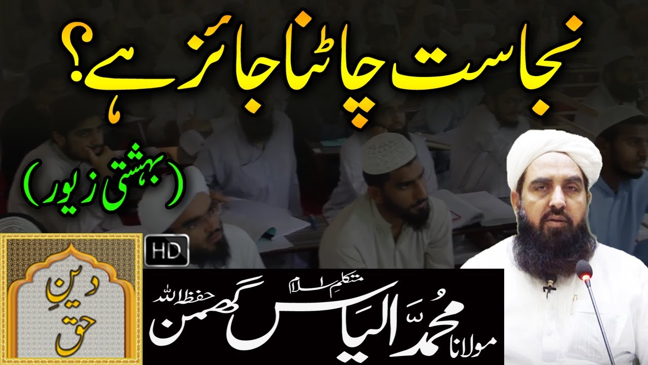 Najasat ko Chatna Jaiz Ha - Bahishti Zawar | Molana Ilyas Ghuman Bayan