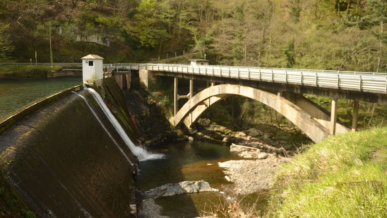 Hernani