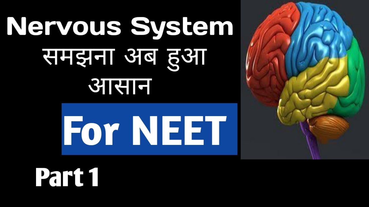 Neural Control and coordination |  Nervous system for class 11 Biology | Part 1 | NEET Biology
