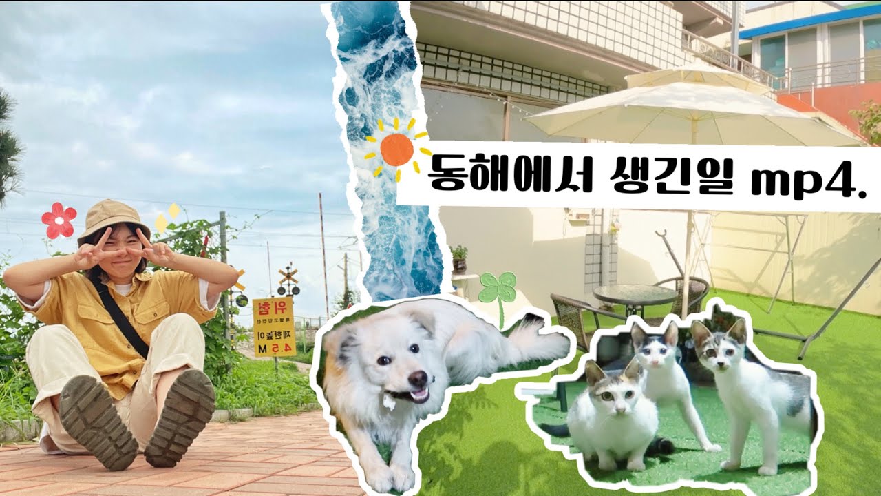 개강 전 나혼자 떠난 동물..아..아니 동해여행2박3일 브이로그ㅋㅋㅋㅋㅋㅋㅋ🌊