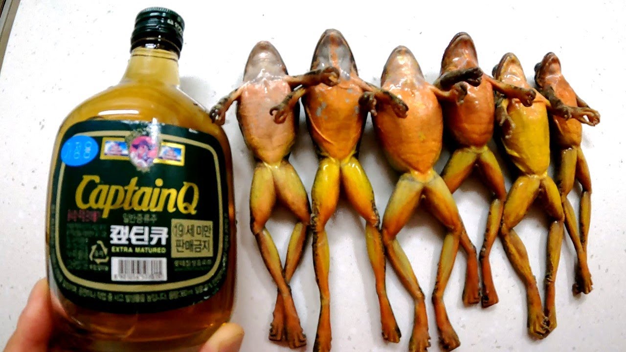 개구리에 캪틴큐 한잔이면.. (너무 맛있어서 기억 잃음)