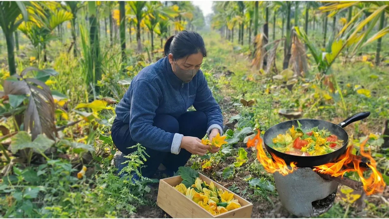 Harvesting Young Squash, Feeding Chickens and Cooking Squash Flower Soup | A Quiet Garden Day