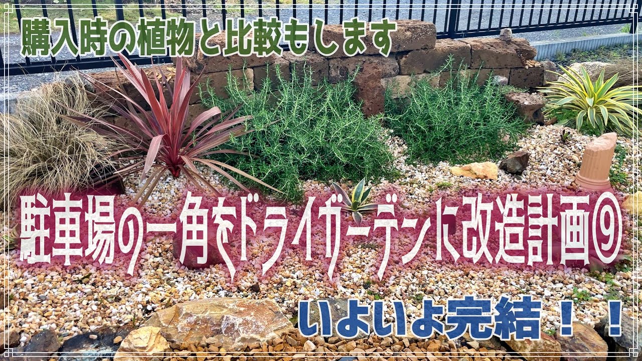 『駐車場の一角をドライガーデンに改造計画⑨』とりあえず完結！！
