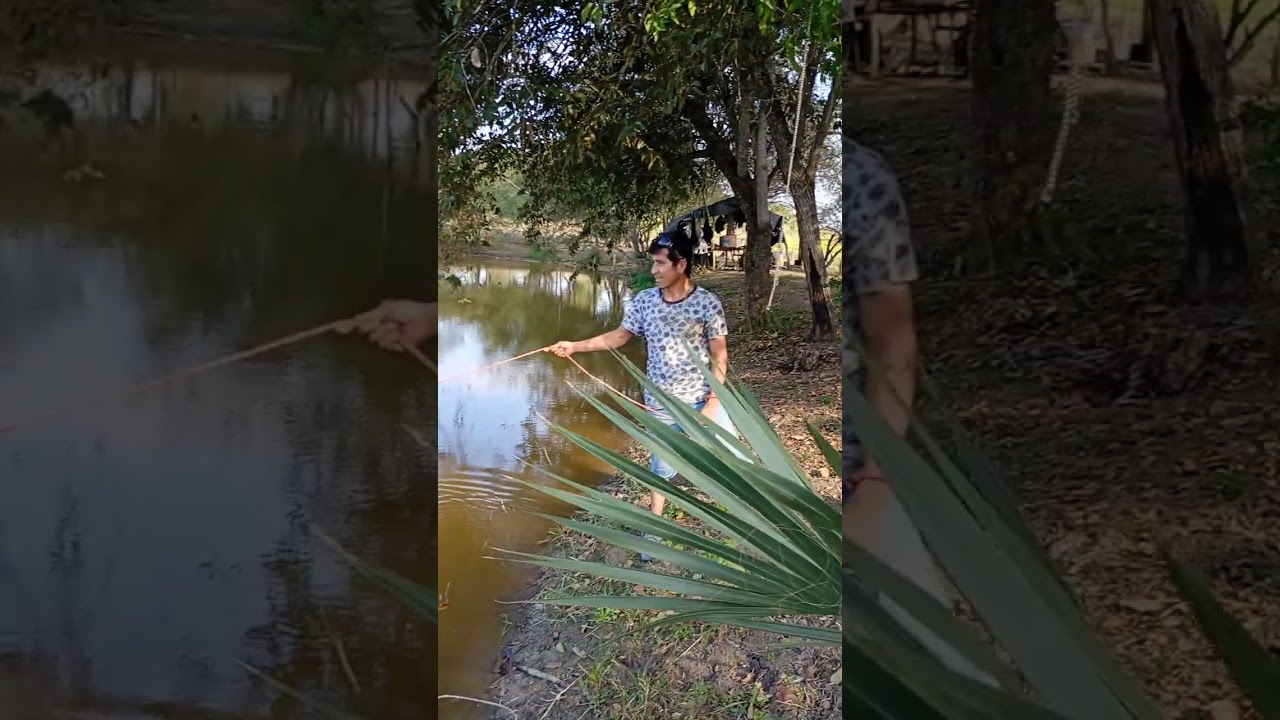 De pesca andamos 