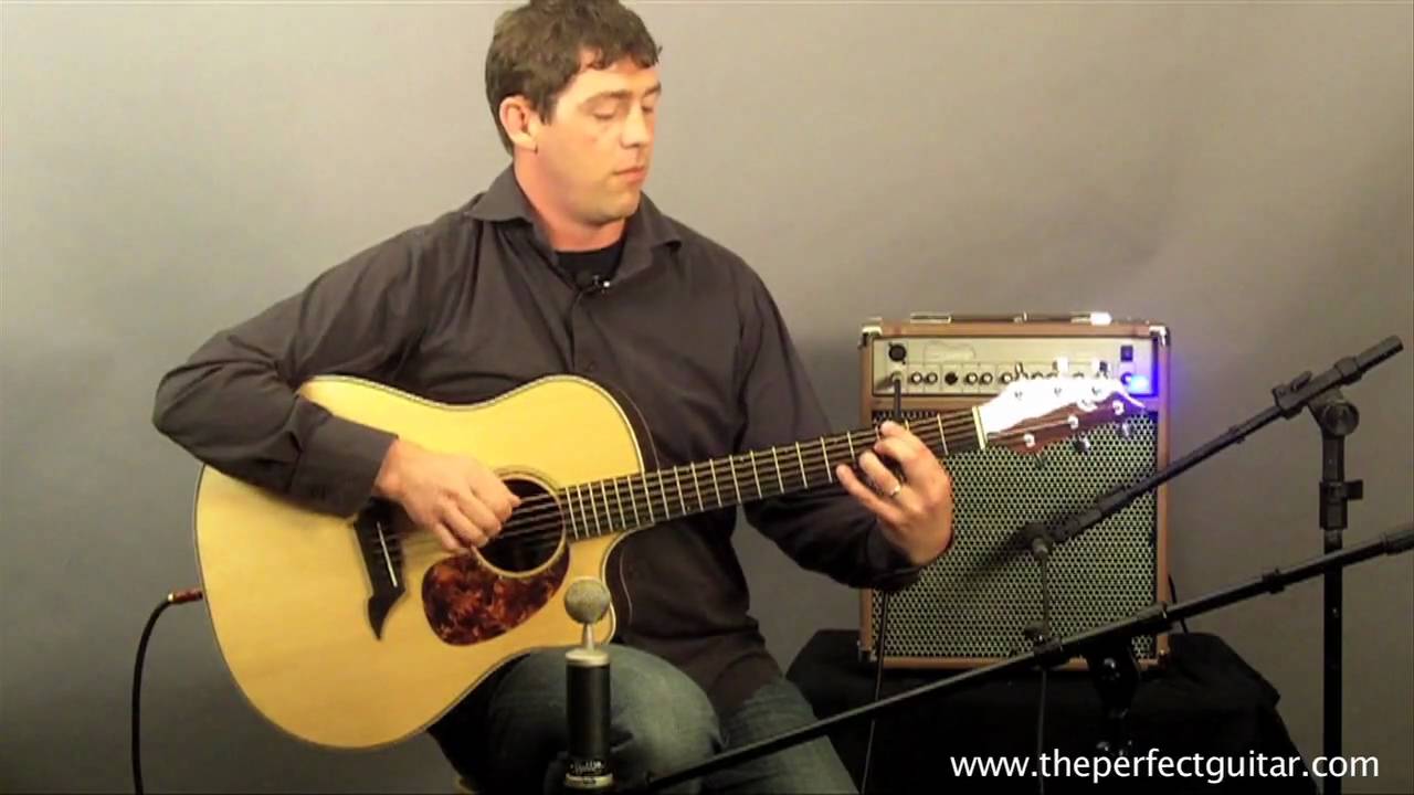 Breedlove American Series D-25 - The Perfect Guitar