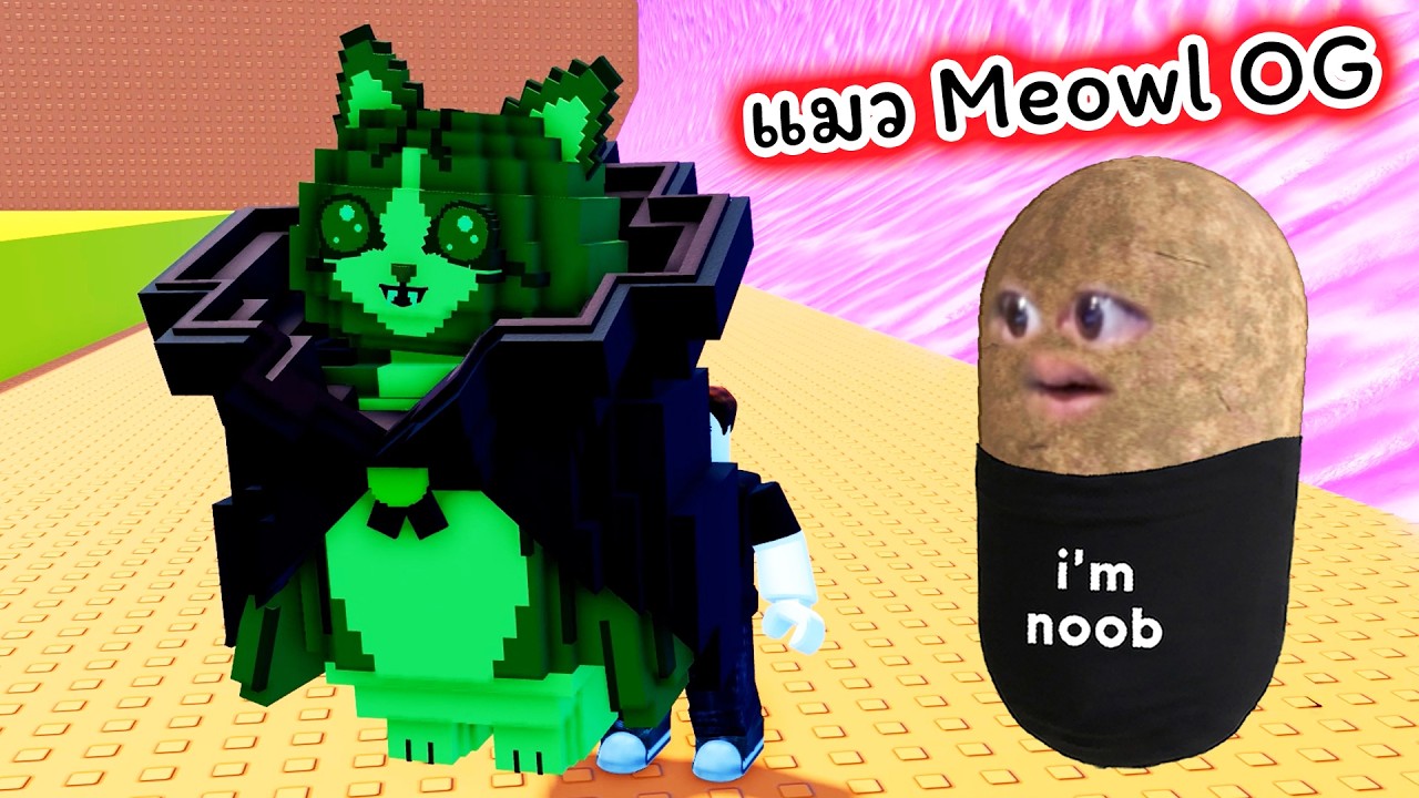 แมว Meowl OG หนีคลื่นสึนามิ Roblox Escape Tsunami For Brainrots