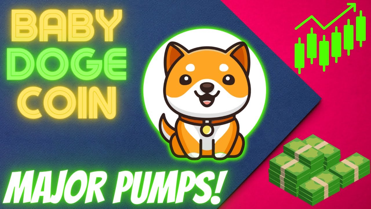Baby Doge Coin Has MAJOR Pump!