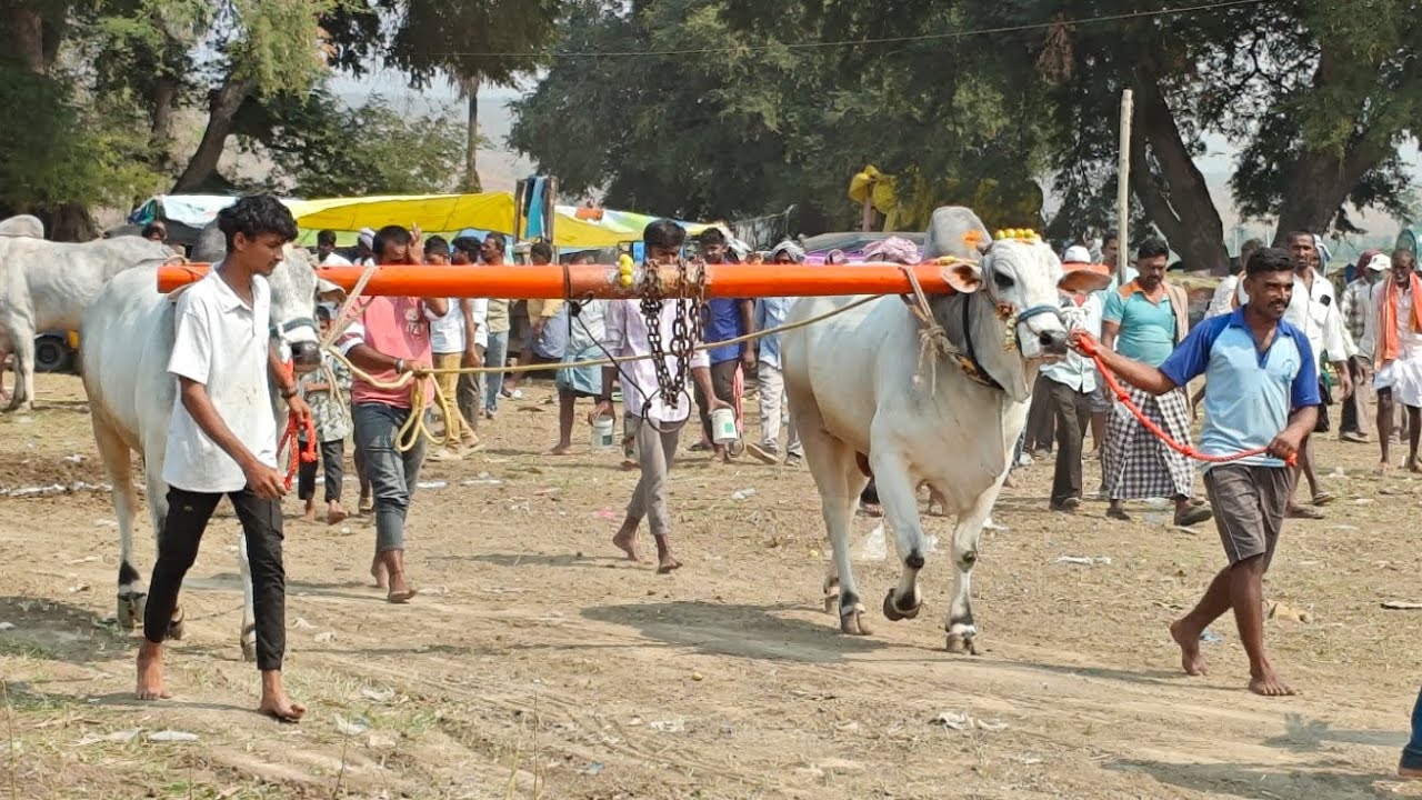 క్రిష్ణంపల్లె సేద్యపు విభాగంలో,9వ జత,ముల్లా.ఇమామ్ హుస్సేన్ గారు, చాగలమర్రి