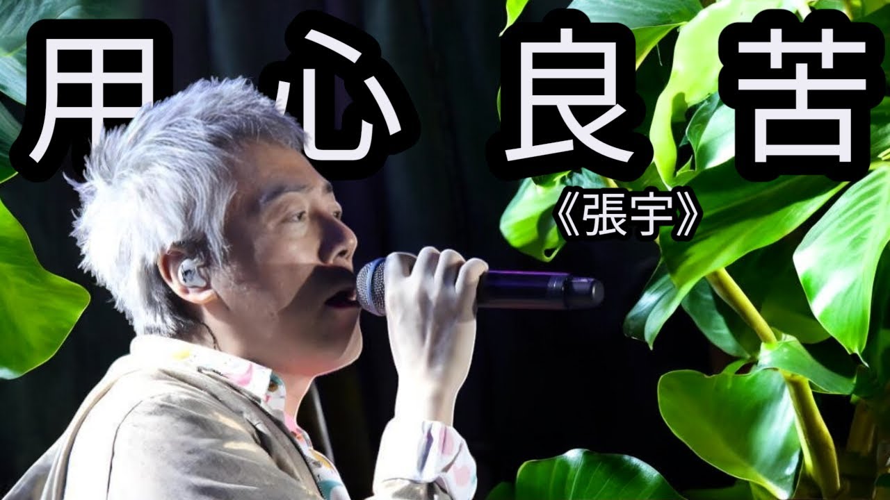 張宇這首歌《用心良苦》太有故事了