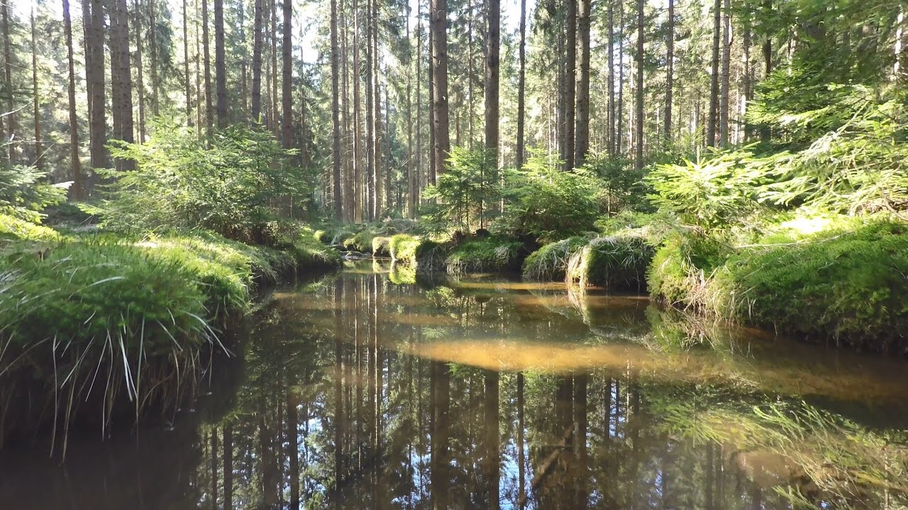 Od Křižánek až ke Křišťálové studánce