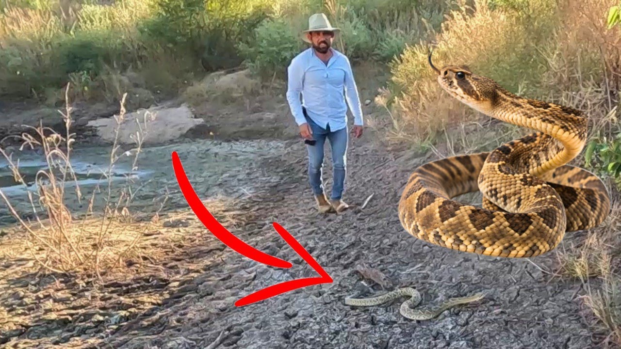 REVISANDO HUELLA PARA LA CACERIA DEL VENADO Y PECARI DE COLLAR 