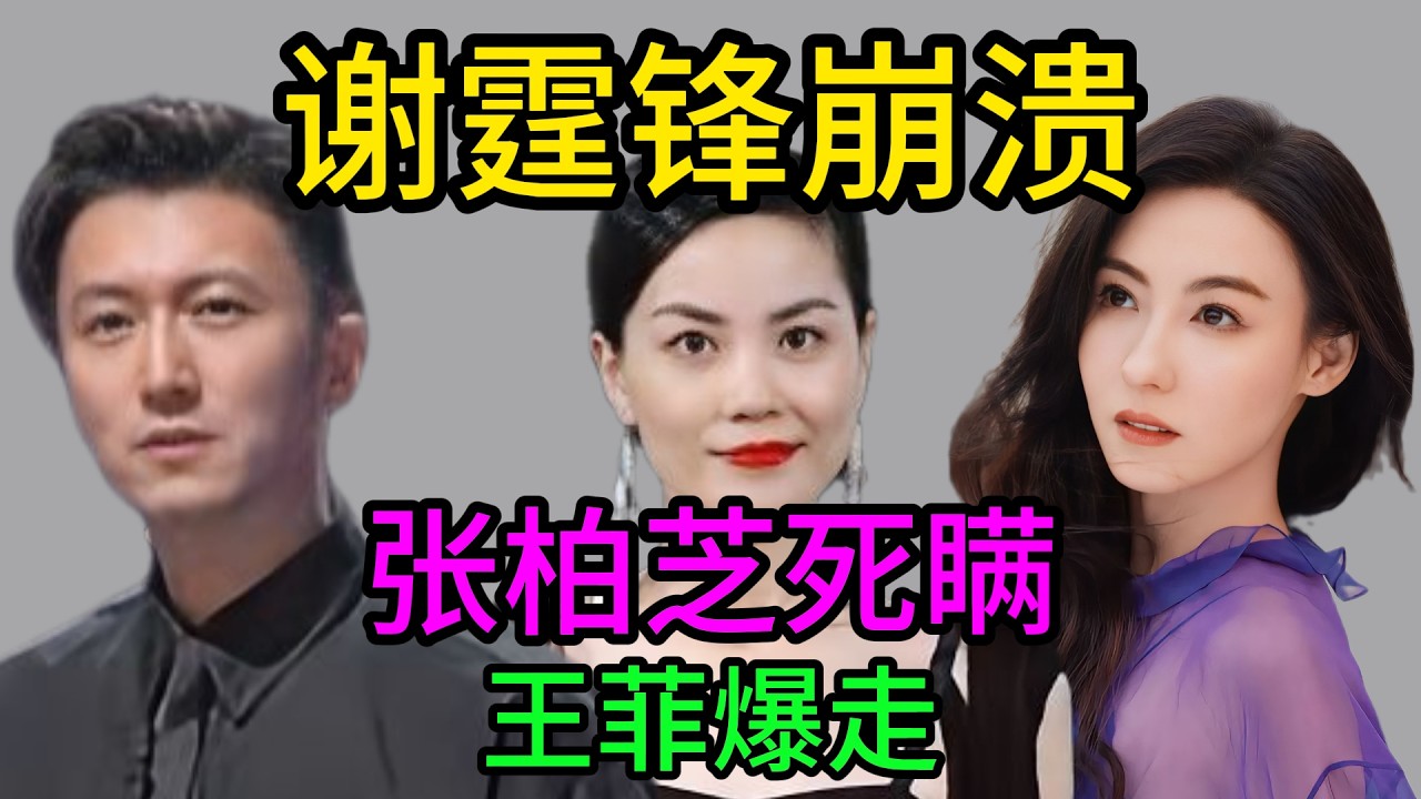 【粵語】張柏芝三胎生父終極揭秘！謝霆鋒情緒失控當眾跪求真相，王菲得知後帶李嫣閃電赴英，鋒菲戀玩完？#謝霆鋒 #張柏芝 #王菲 #李嫣 #世紀大戲