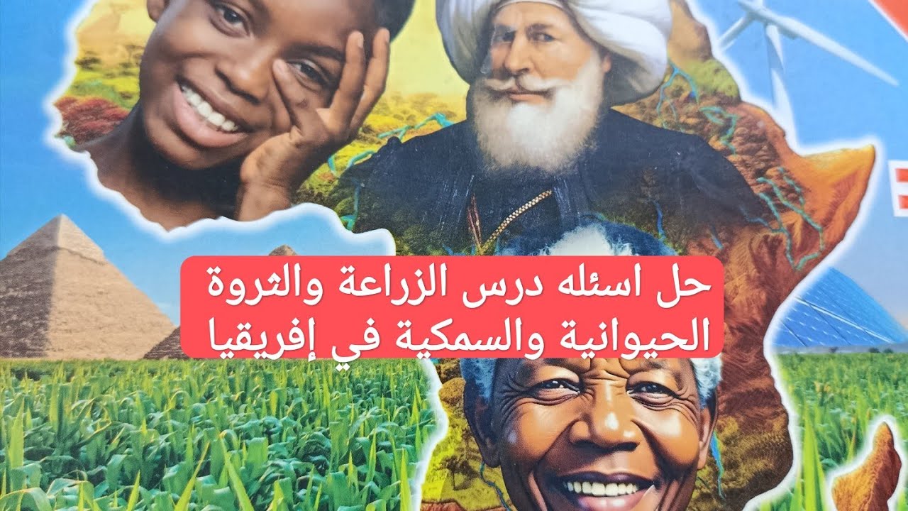 ٢٨ فبراير ٢٠٢٦