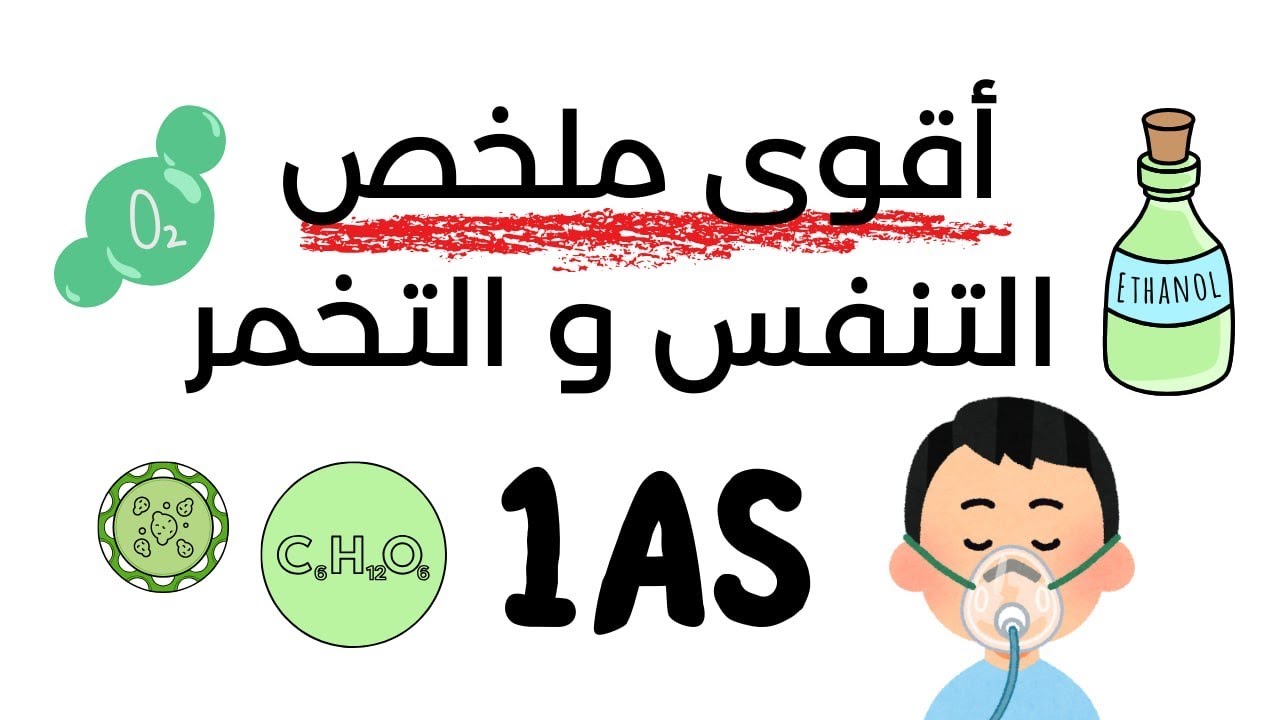 ملخص التنفس و التخمر أولى ثانوي شعبة علوم و تكنلوجيا😎 راجع جيدا للاختبار🫶🏻