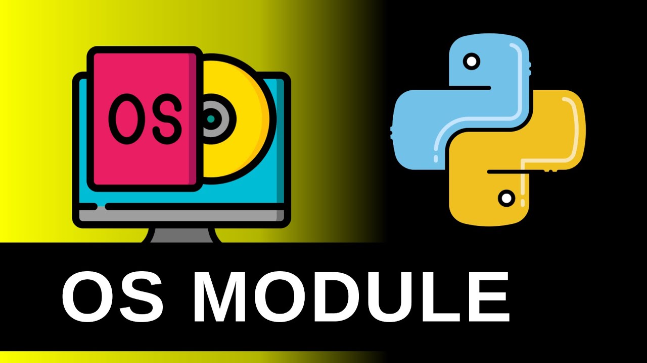 Everything You Need to Know About the Python OS Module!