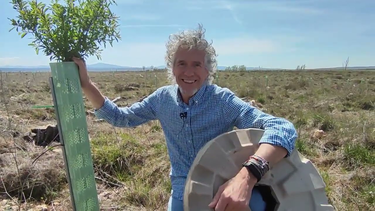 ¿Es posible plantar bosques en tierras degradadas?