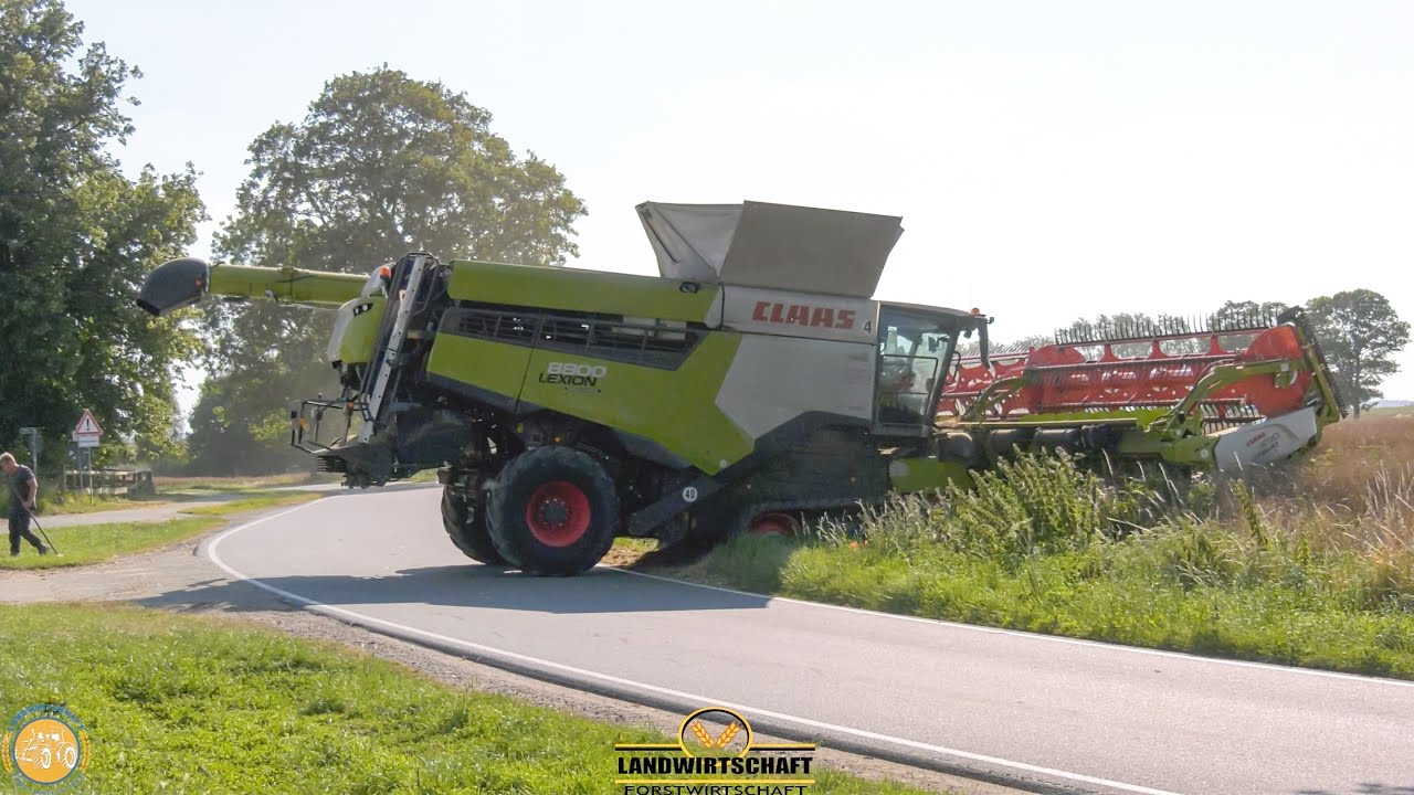 Mähdrescher über Straße umsetzten Gut Hohen Luckow Raps Ernte mit 3 Claas Lexion 8800 Landwirtschaft