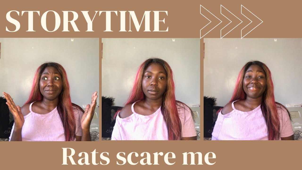 My RAT trauma 🐀😭