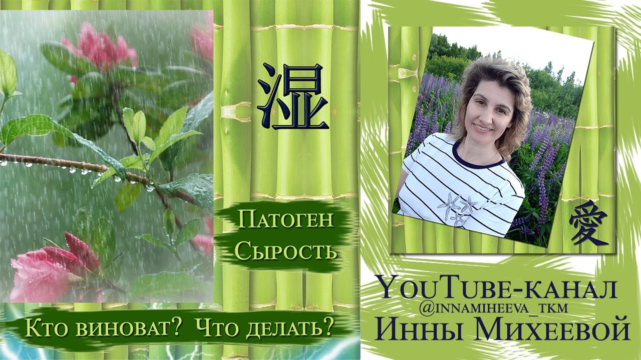 Патоген Сырость
