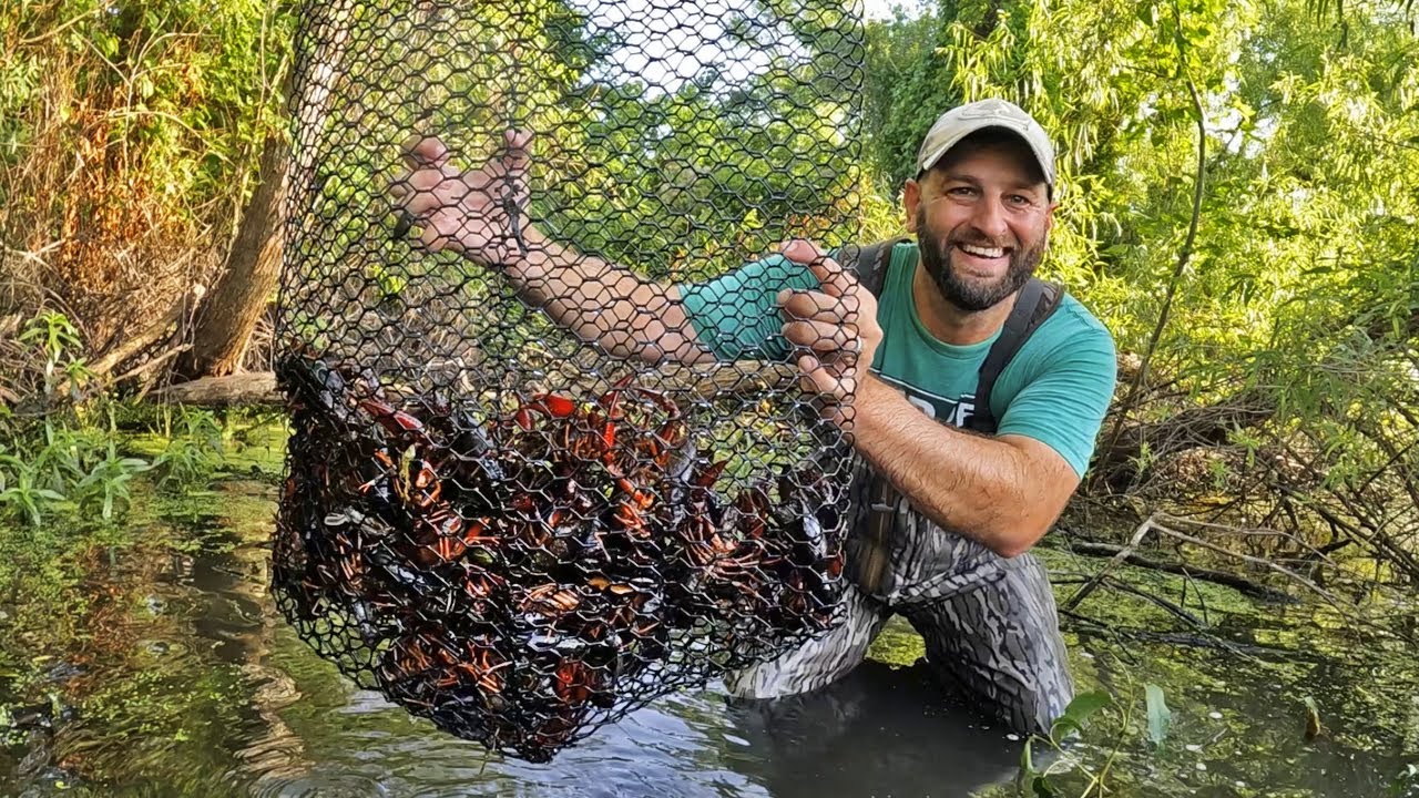 Catching Crawfish in the Mississippi River (Catch and Cook)