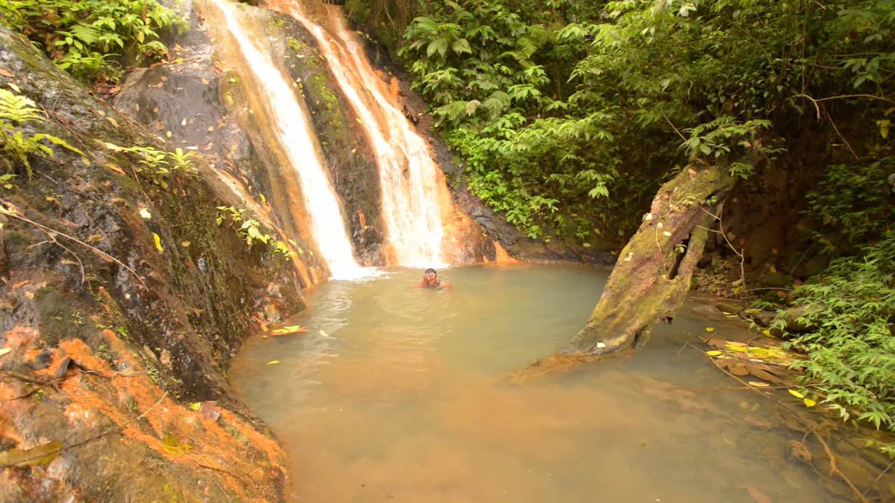 Hike to Tufton Hall Waterfall near Victoria, St. Mark's, Grenada