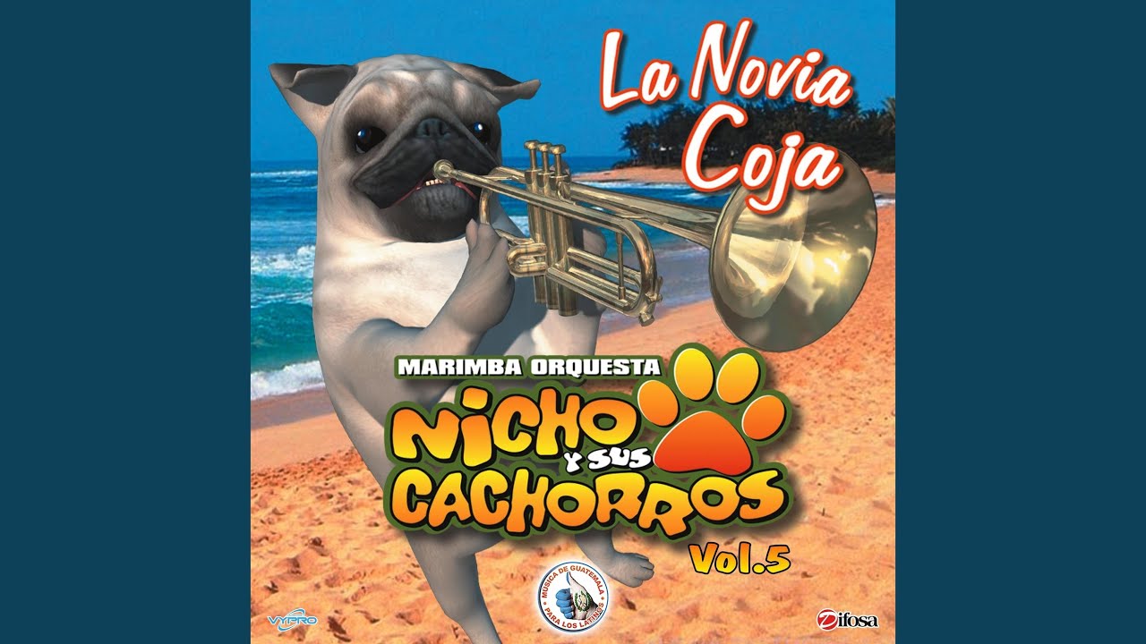Mix Cachorros 9: a Chillar a Otra Parte / El Próximo Tonto / Agua Salada / a Donde Vayas