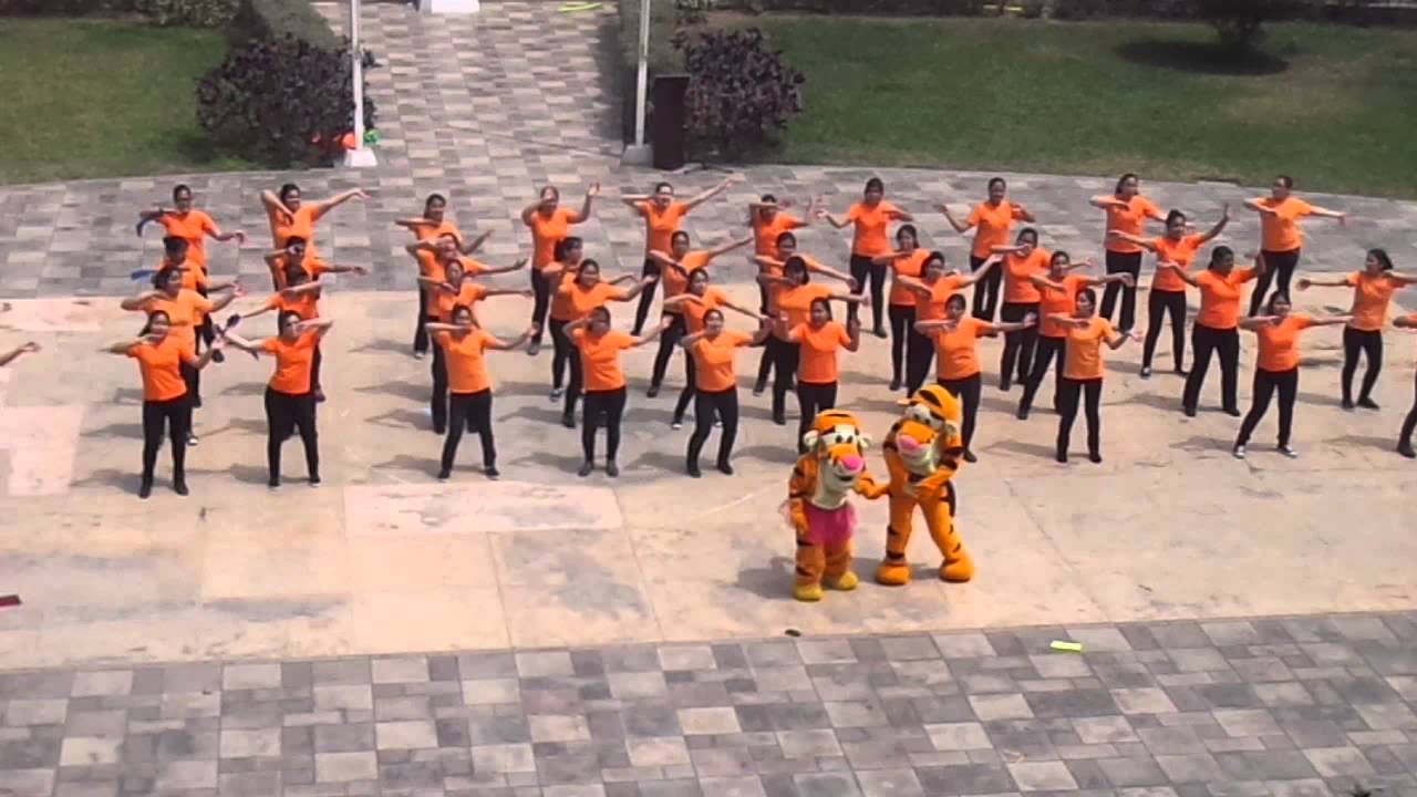 Barra Educación Primaria 2013