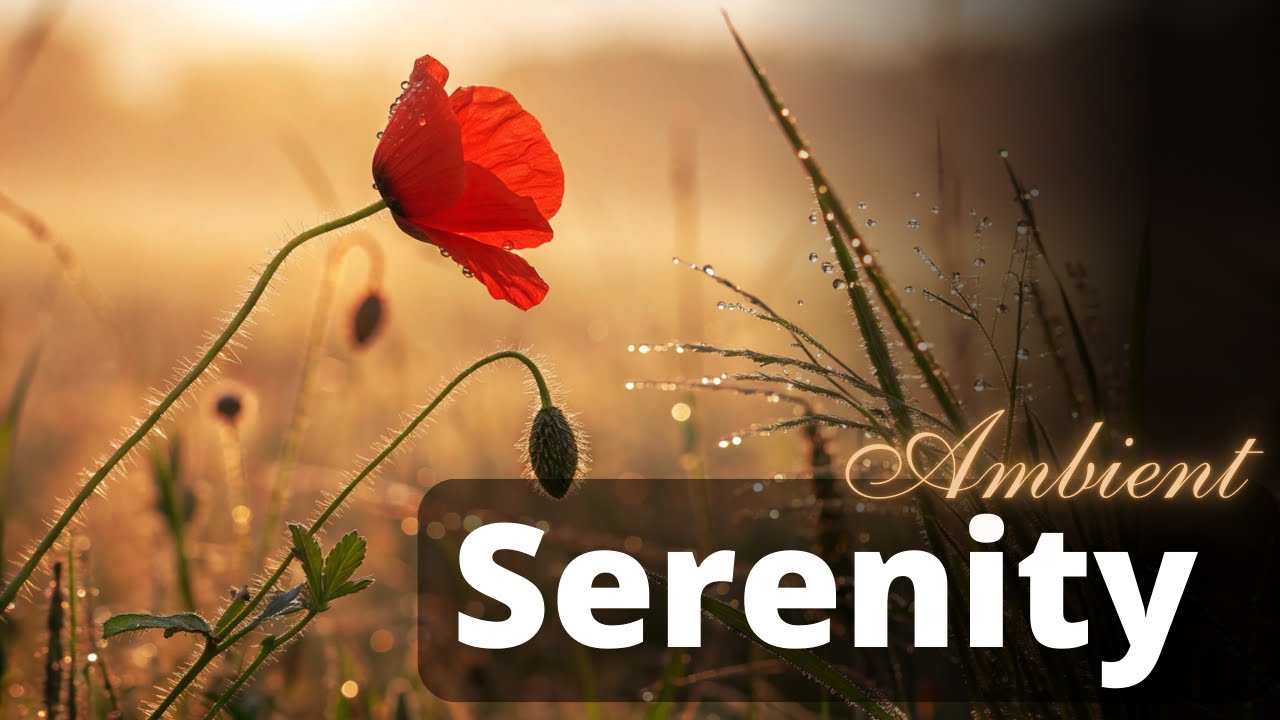 Awakening of Nature – Ambient Music for Sleep, Meditation, Relax & Emotional Healing #ambientmusic